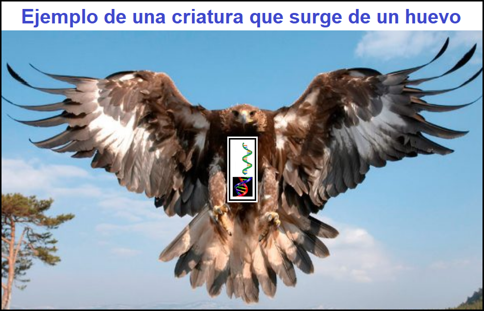 Imperio mundial de la profecia